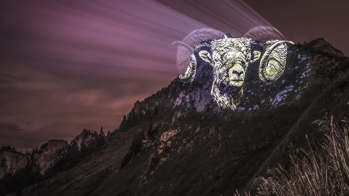 Un bouquetin dans la brume