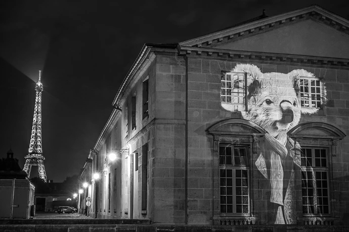 Le koala de Lowendal – Projection lumineuse sur façade parisienne, Paris