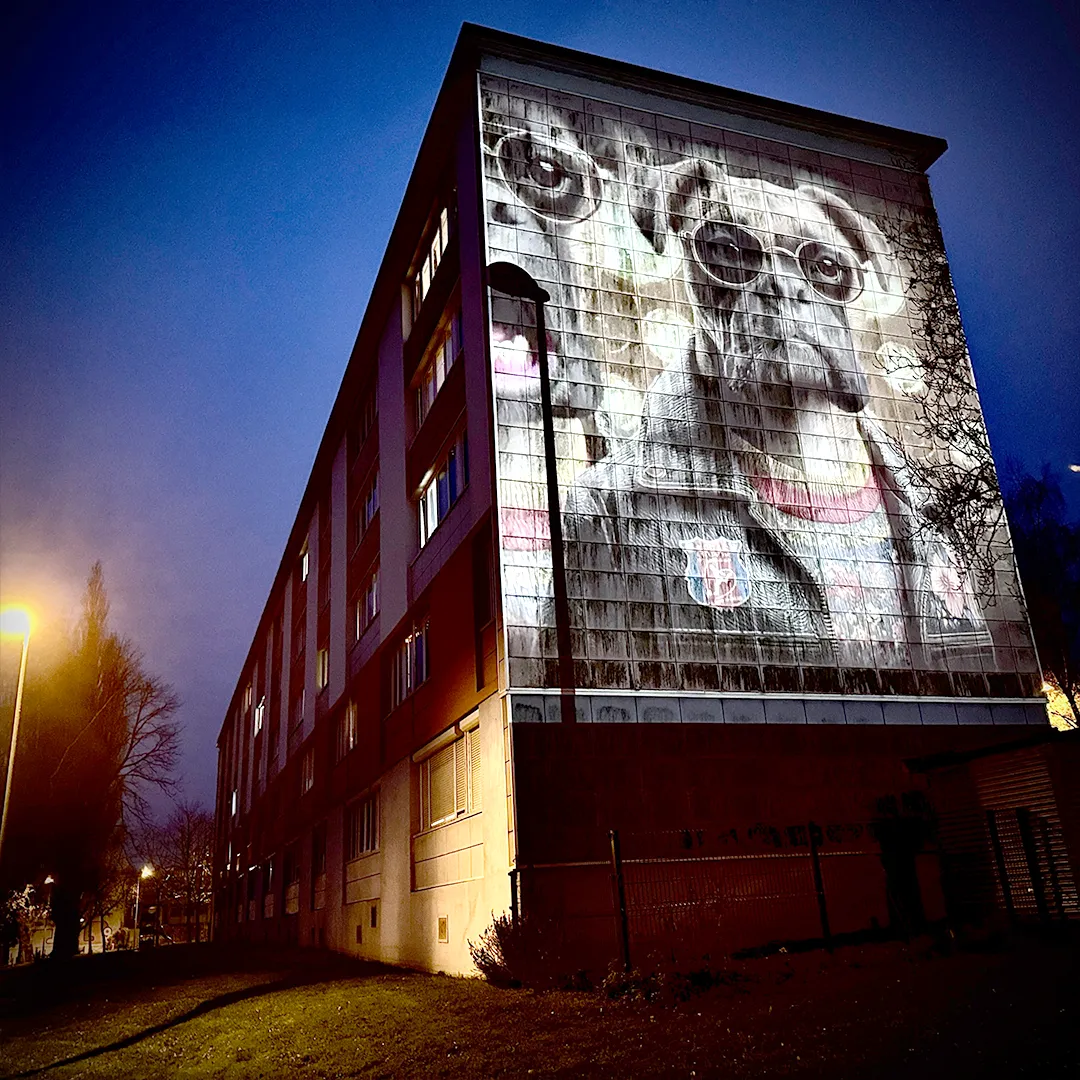 Safari Urbain Arras – Déambulation chantée dans l’espace public Personnage de Safari Urbain projeté sur un mur à Arras, chantant et annonçant les déambulations artistiques de fin d’année