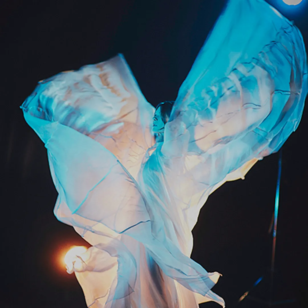 Danse de Fleurs – Mouvement, voiles et lumière Danseuse classique exécutant une danse avec voiles, inspirée de Loïe Fuller, pour le projet artistique Danse de Fleurs
