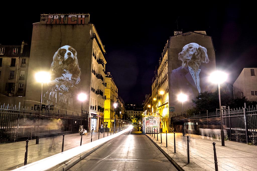 LES CHIENS DE DOUDEAUVILLE, PARIS - 2015 © Julien NONNON                            