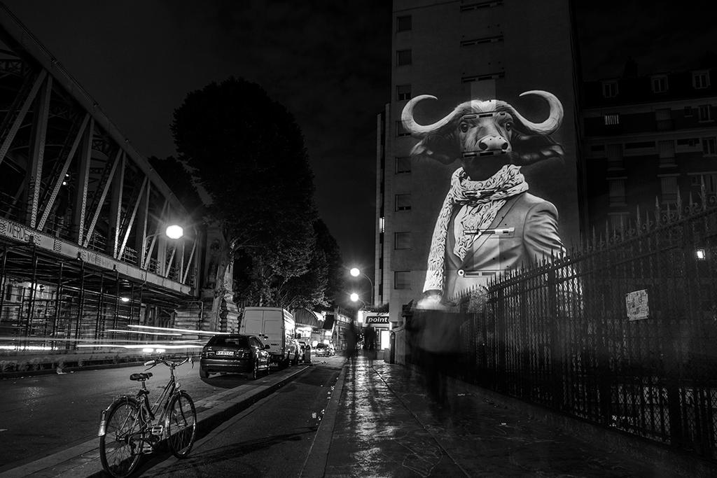 LE BUFFLE DE LA CHAPELLE, PARIS - 2015 © Julien NONNON