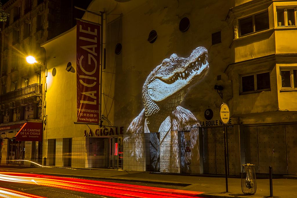 LE CROCODILE DE LA CIGALE, PARIS - 2015 © Julien NONNON                            