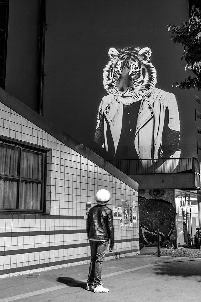 LE TIGRE DES AMANDIERS, PARIS - 2015 © Julien NONNON