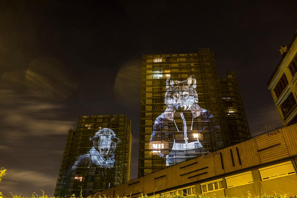 LE LOUP DE BOREY, PARIS - 2015 © Julien NONNON