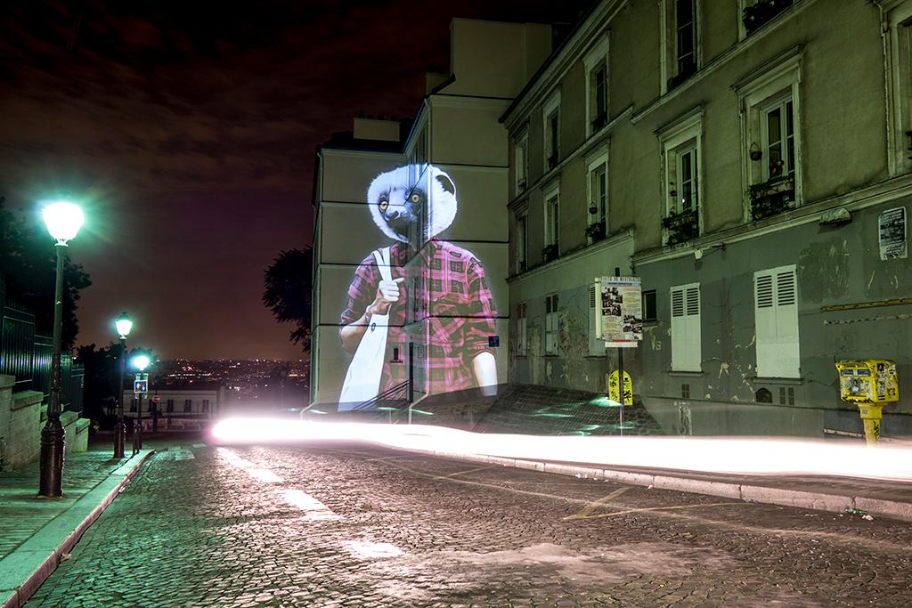 LE LÉMURIEN DE MONTMARTRE, PARIS - 2015 © Julien NONNON